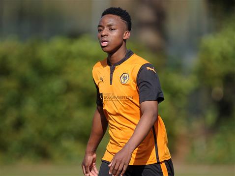 Niall Ennis Wolves