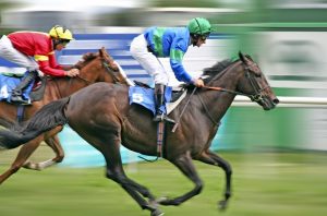 bet on horse racing