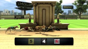 virtual greyhounds betting