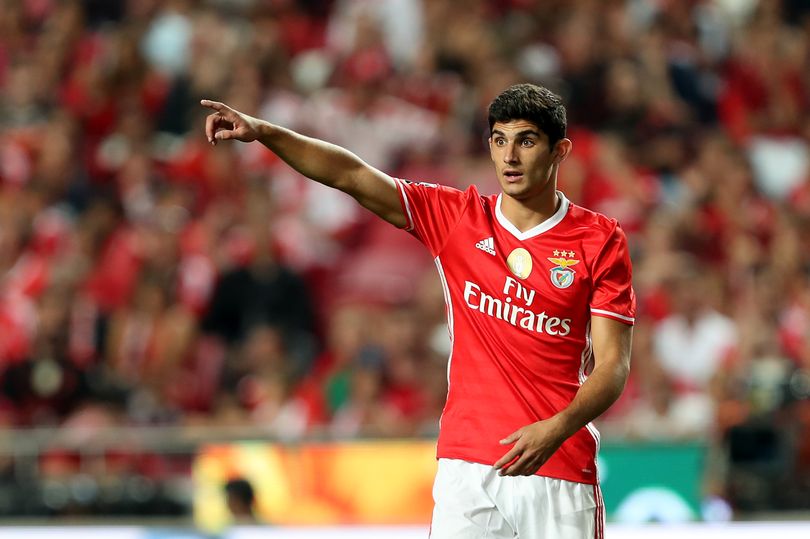 goncalo-guedes-benfica